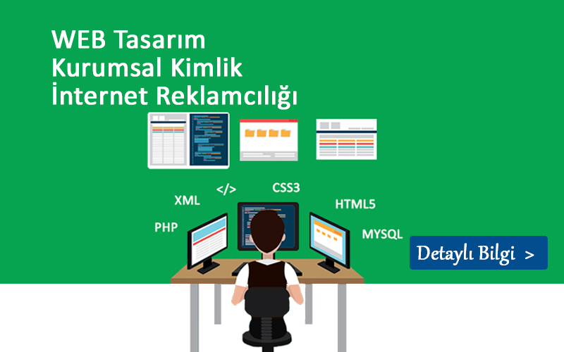 WEB Tasarım